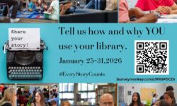 Every Story Counts – Library Survey